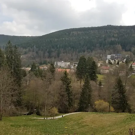 Lejlighed Viktory Bad Wildbad